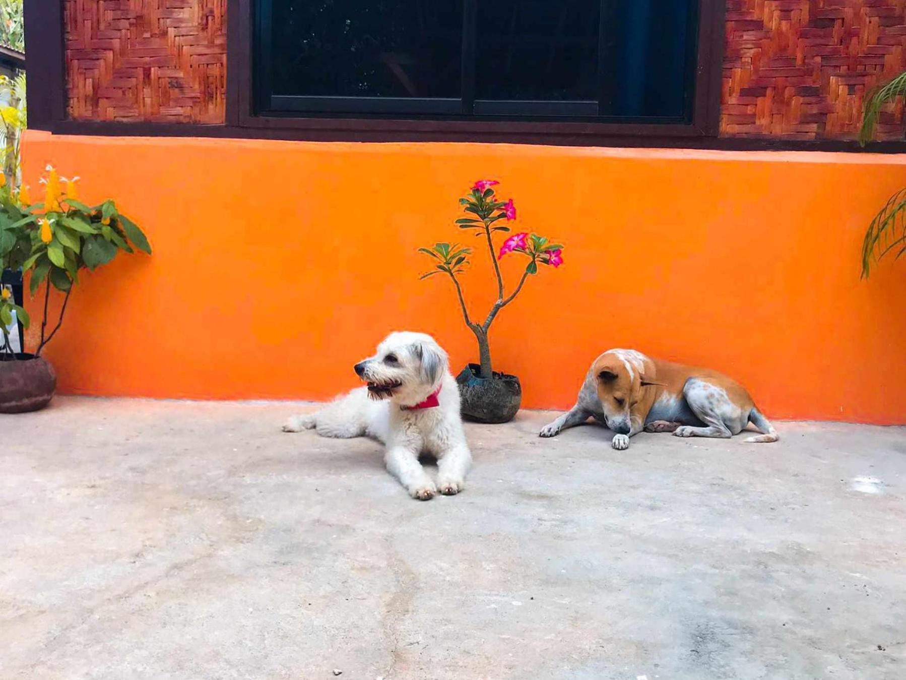 Don Leo'S Bnb Esperanza Exterior photo